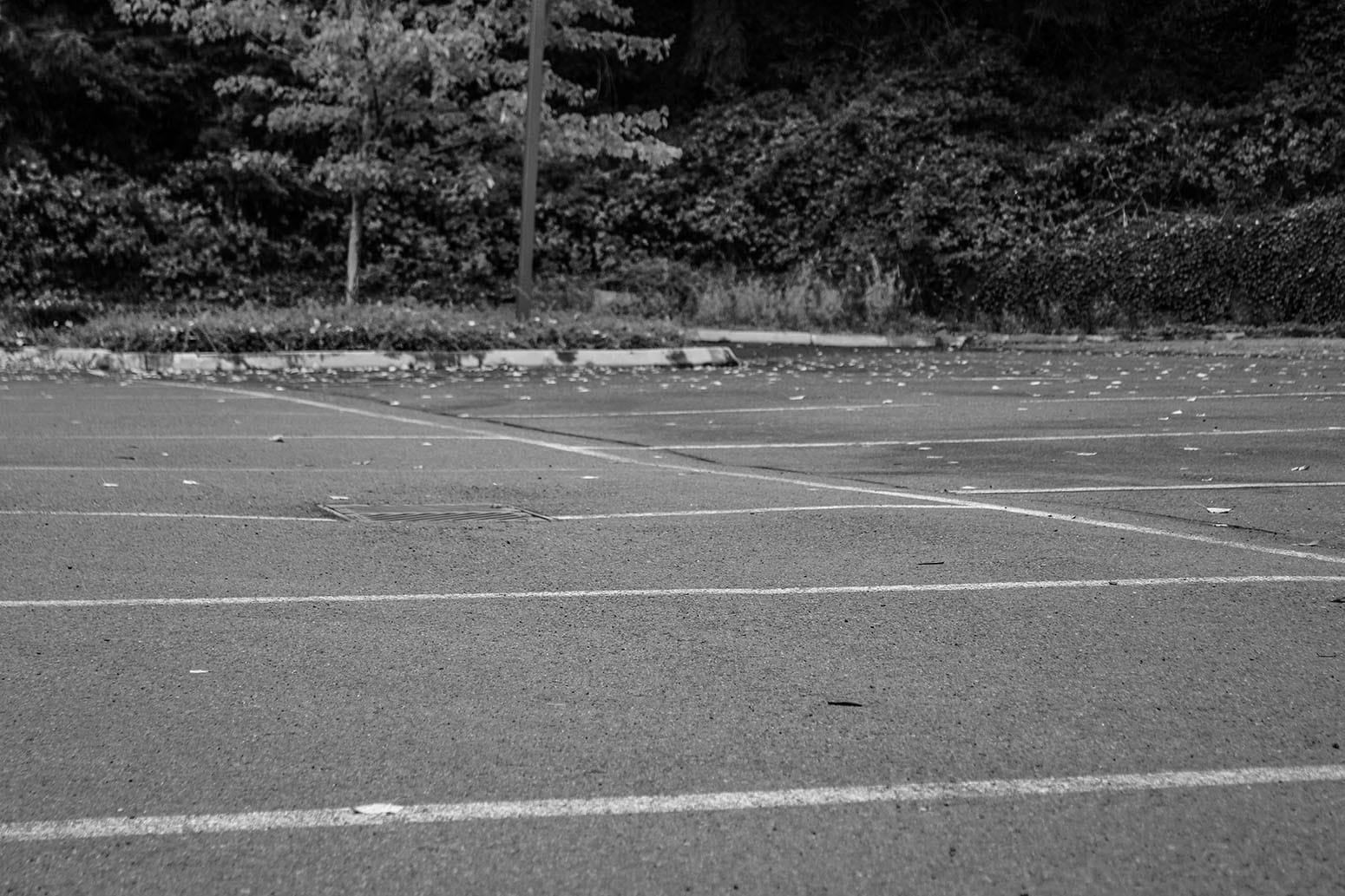 Janie and The Gray: Part 6