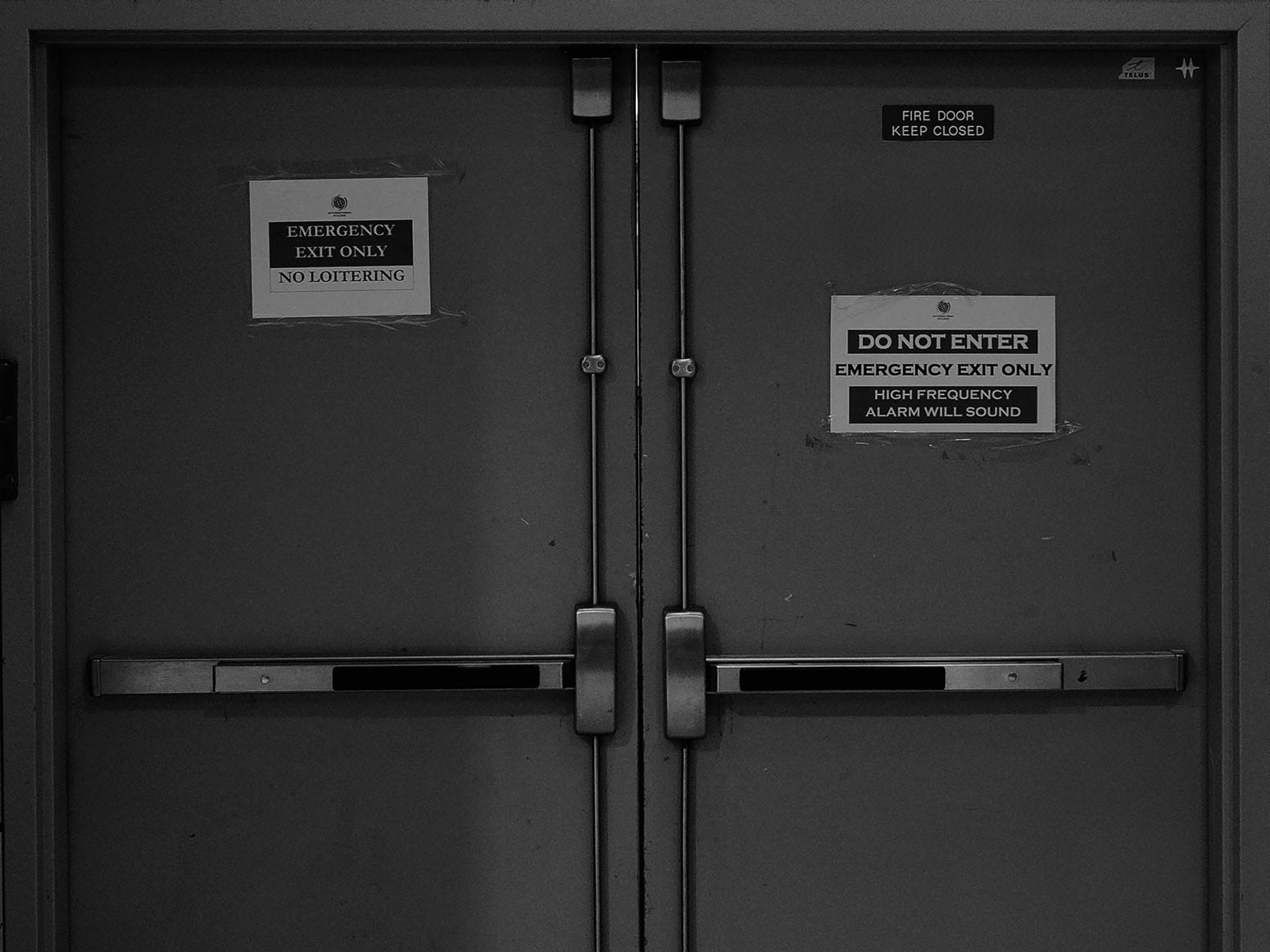 Janie and The Gray: Part 4