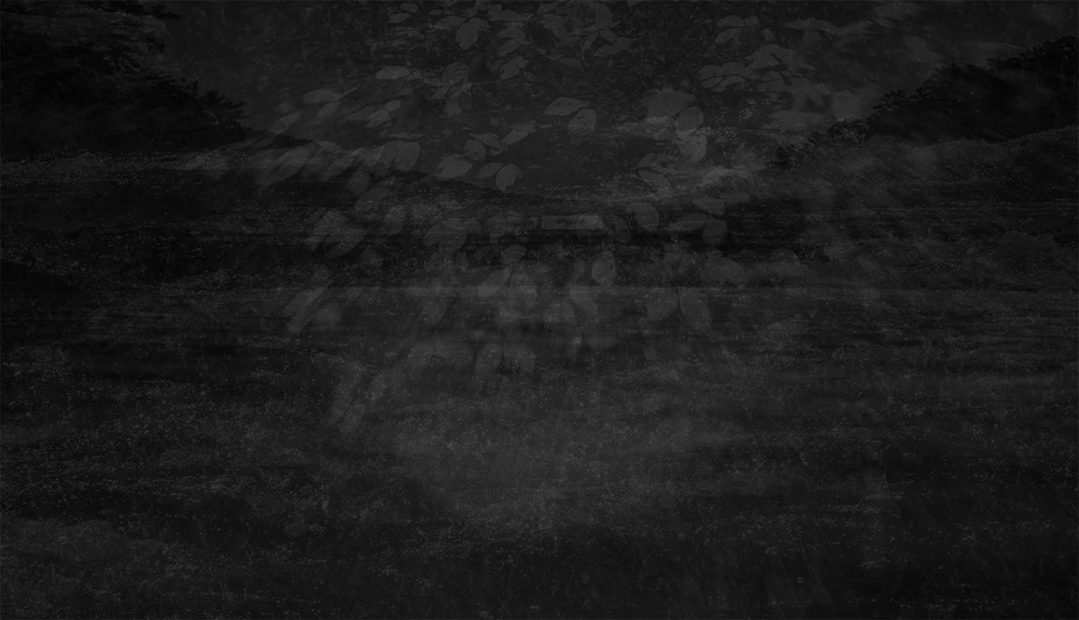 Janie and The Gray: Chapter 2