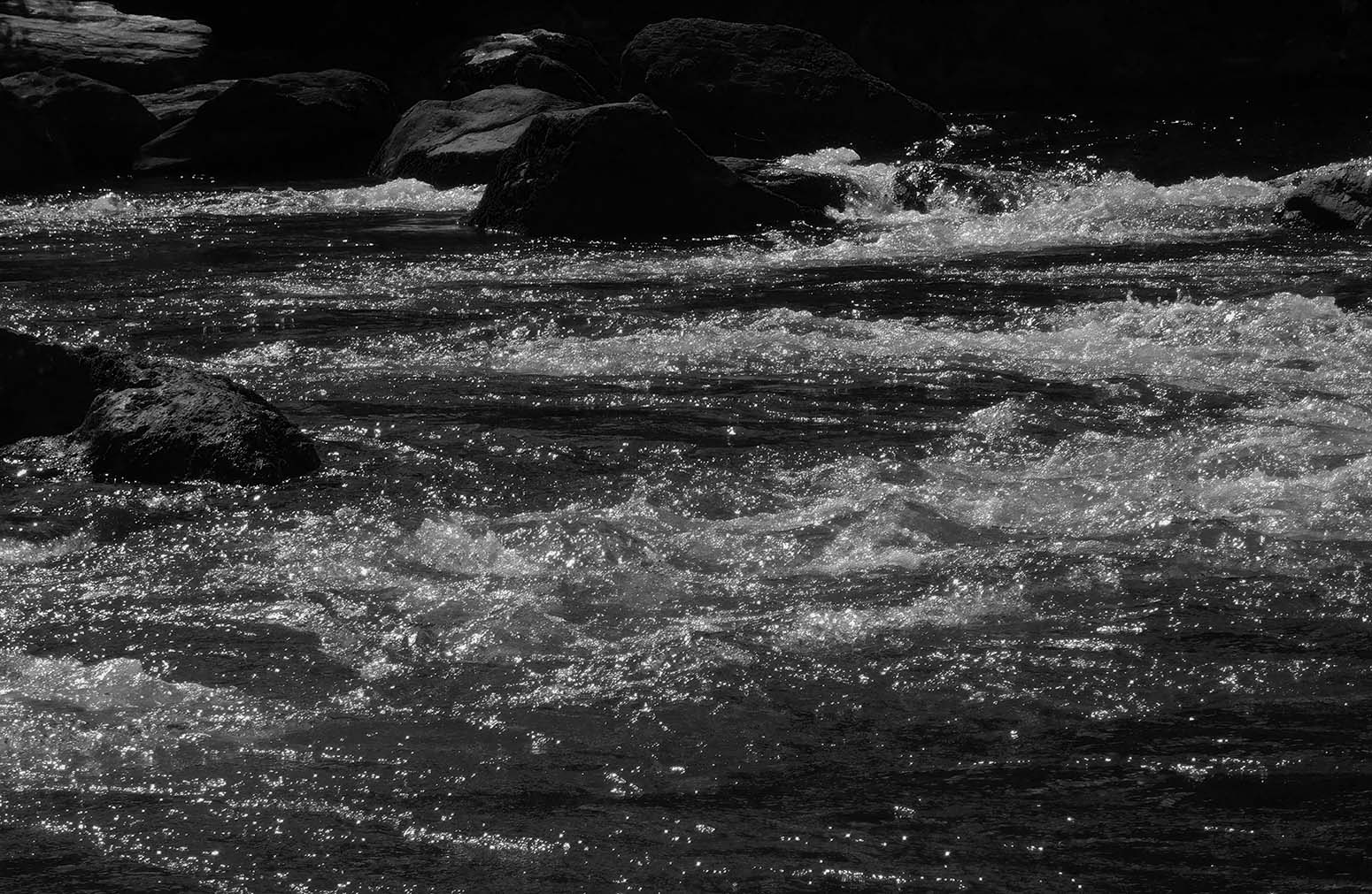 Janie and The Gray: Part 10