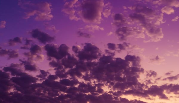 Darklight's Dawn: And we're blurbing...