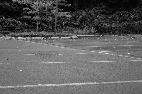 Janie and The Gray: Part 6