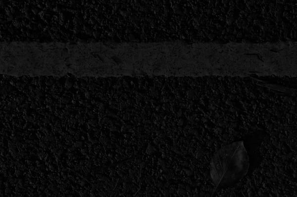 Janie and The Gray: Part 9